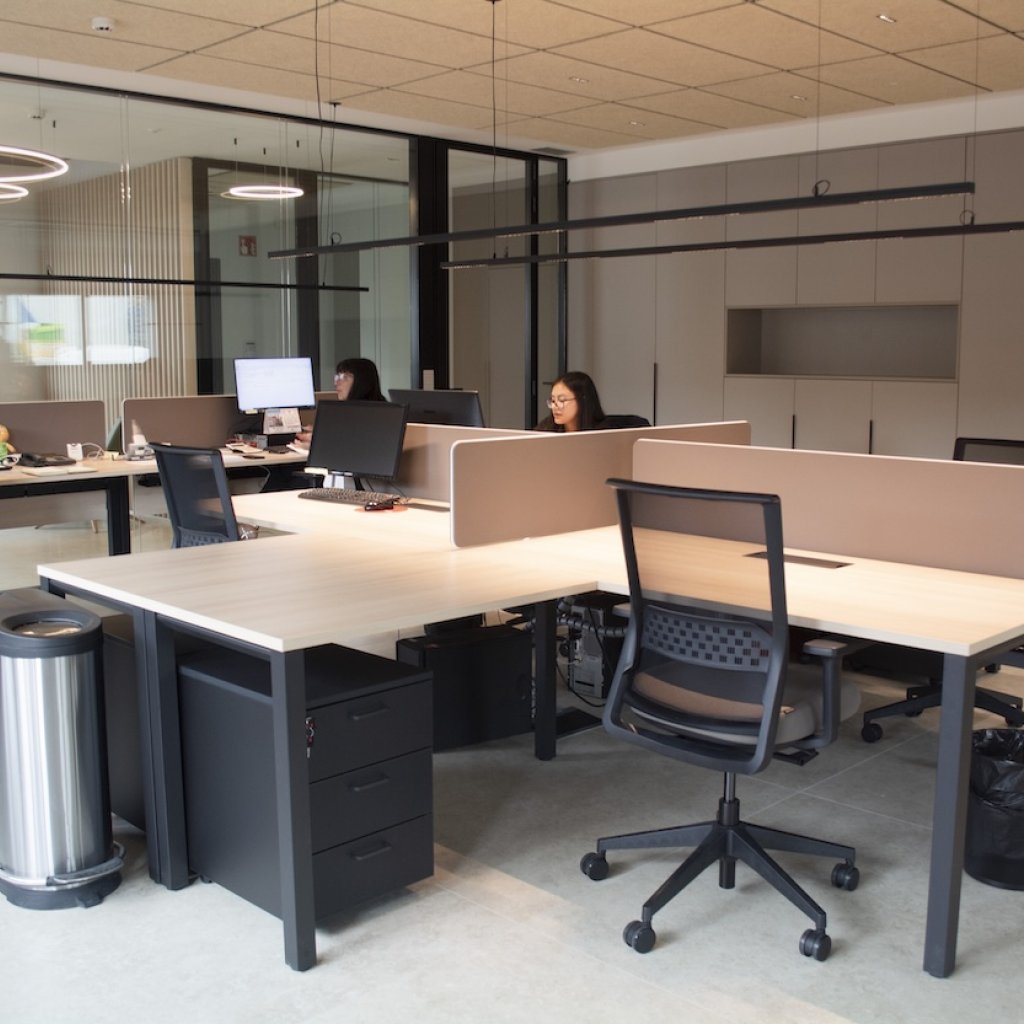 Proyecto de Reforma Oficina - Paturpat - Espacios de Trabajo